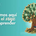 Educación financiera para adultos: desarrollo de competencias que impactan el bienestar.